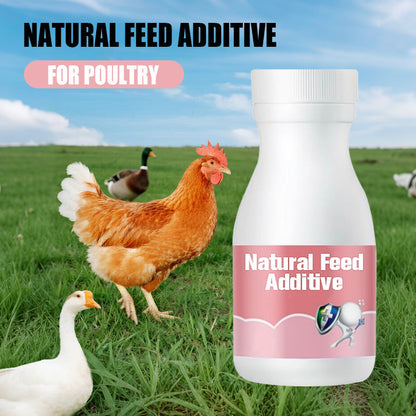 ⏳   Limited Stock! 🔥Natural Feed Additive for Poultry