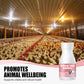 ⏳   Limited Stock! 🔥Natural Feed Additive for Poultry