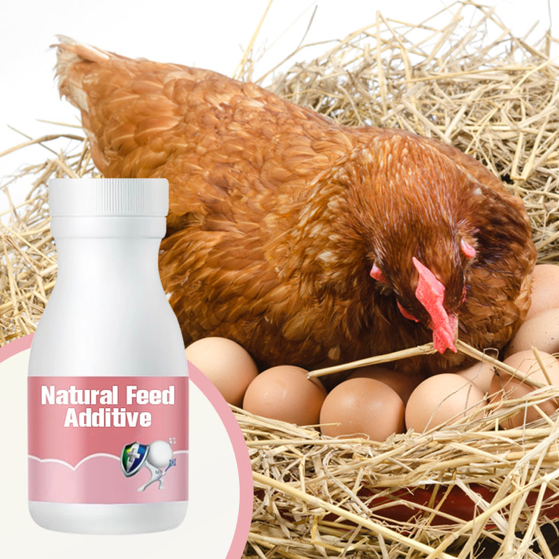 ⏳   Limited Stock! 🔥Natural Feed Additive for Poultry