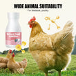 ⏳   Limited Stock! 🔥Natural Feed Additive for Poultry