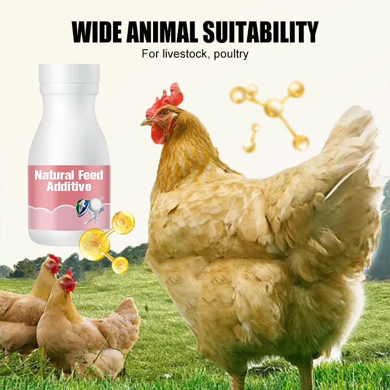 ⏳   Limited Stock! 🔥Natural Feed Additive for Poultry