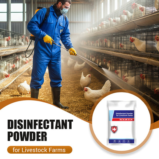 Disinfectant Powder for Livestock Farms