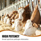 Disinfectant Powder for Livestock Farms