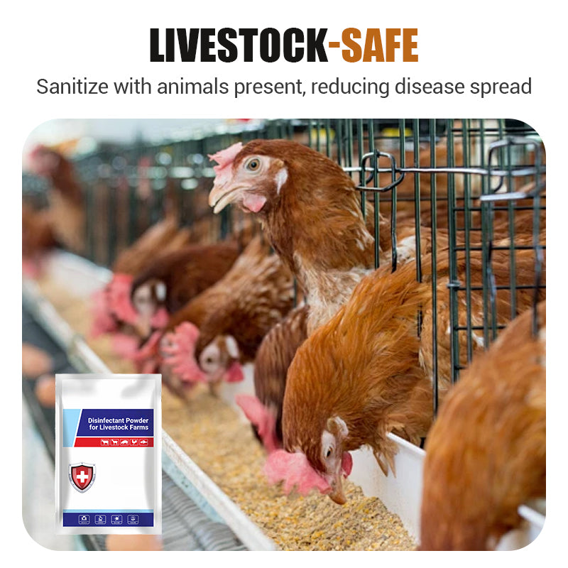 Disinfectant Powder for Livestock Farms