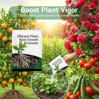 Root Growth Promoting Powder