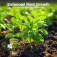 Root Growth Promoting Powder