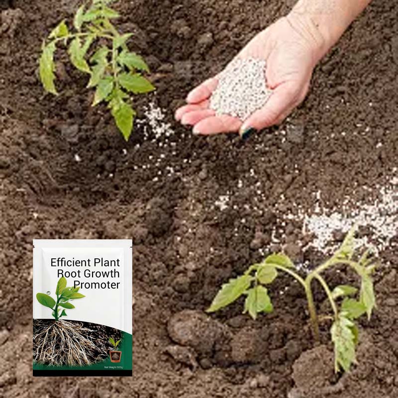 Root Growth Promoting Powder