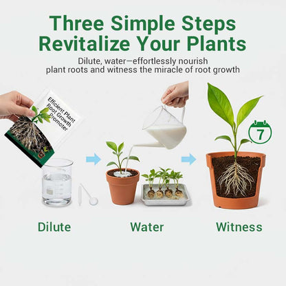 Root Growth Promoting Powder