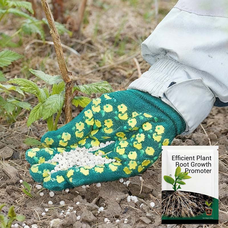 Root Growth Promoting Powder