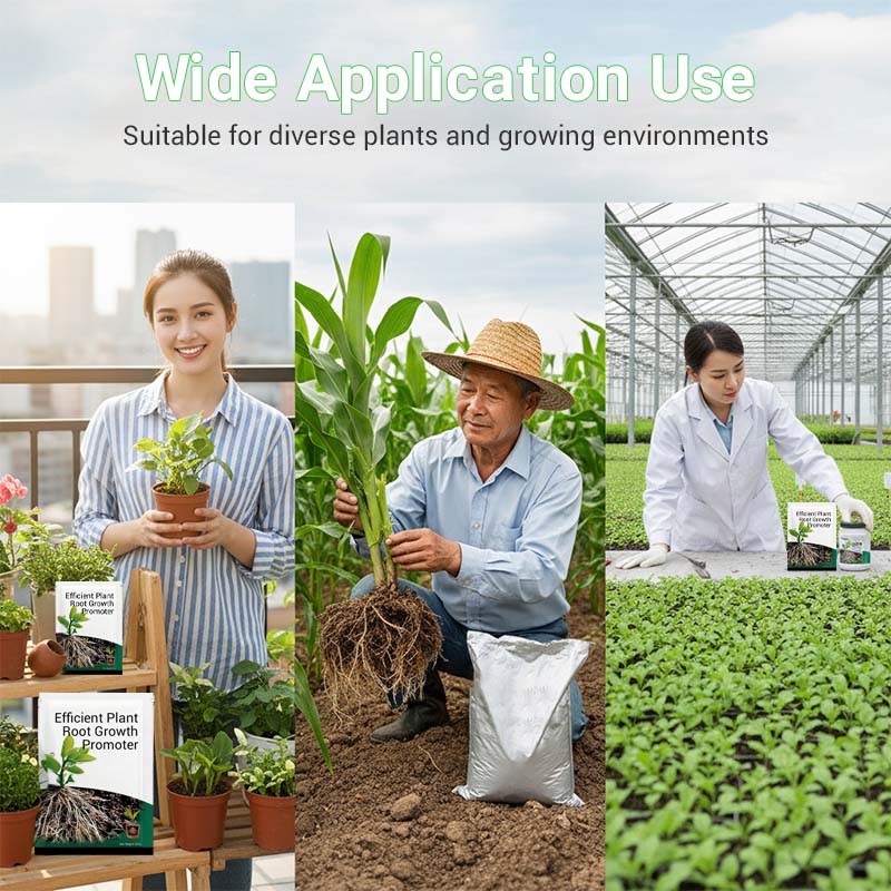 Root Growth Promoting Powder