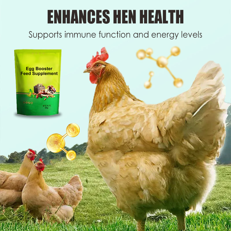 Egg Booster Feed Supplement