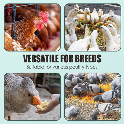 Egg Booster Feed Supplement