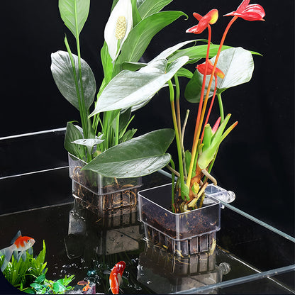 Hanging Fish Tank Planter Holder