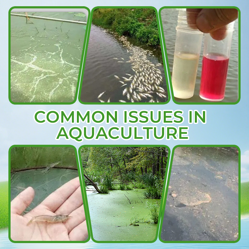 Mixed Feed Additive Powder