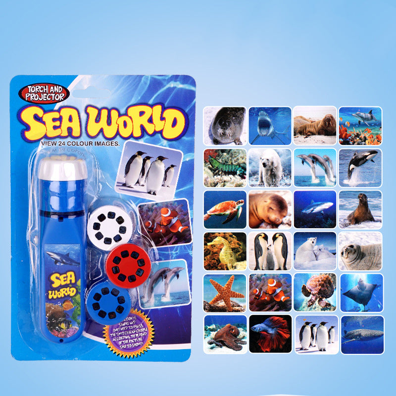 Educational Projection Toy with Themed Slides