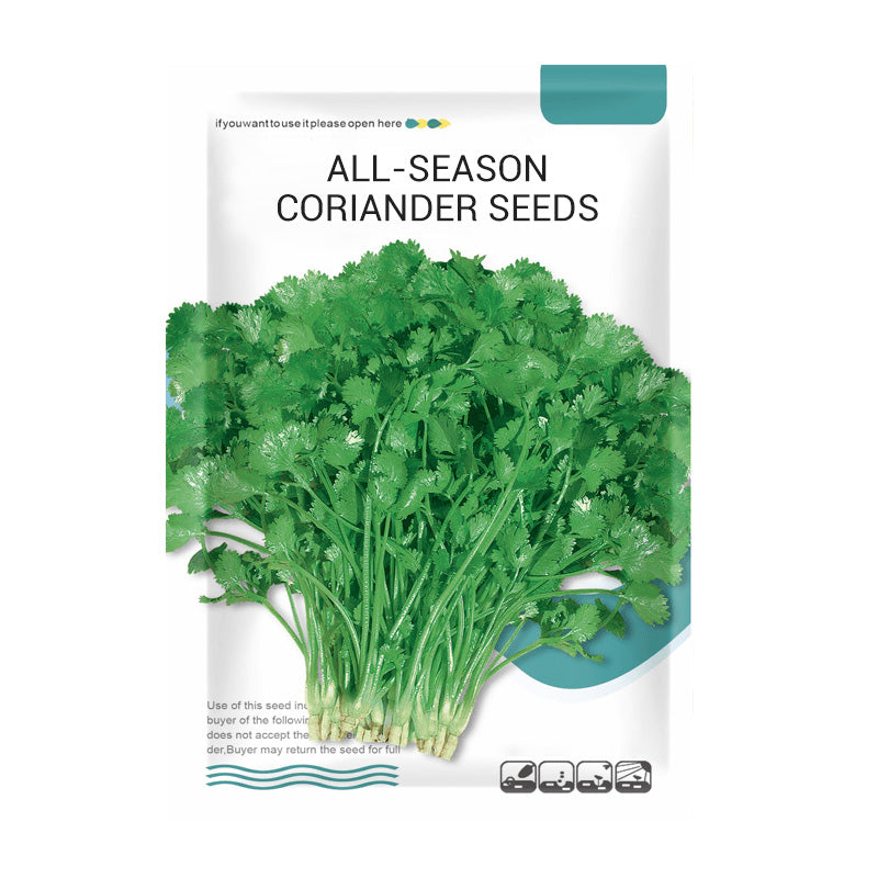 All-Season Disease-Resistant Coriander Seeds