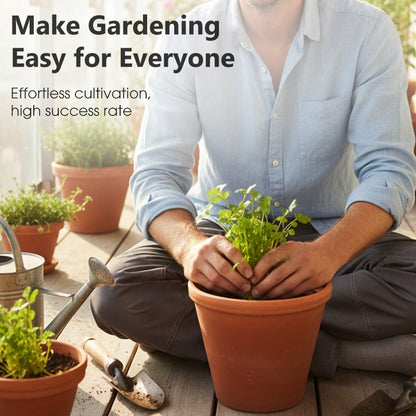 All-Season Disease-Resistant Coriander Seeds