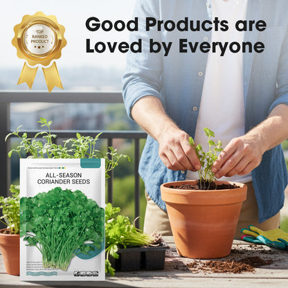 All-Season Disease-Resistant Coriander Seeds