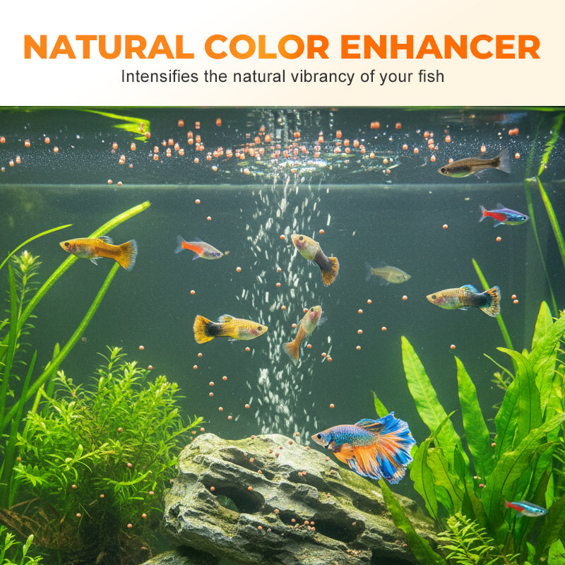 Decapsulated Brine Shrimp Egg Fish Food