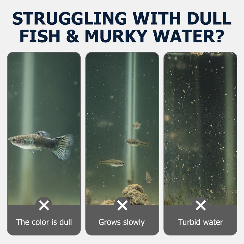 High-Protein Fish Food for Small Fish