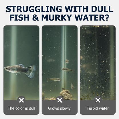 High-Protein Fish Food for Small Fish