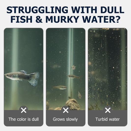 High-Protein Fish Food for Small Fish