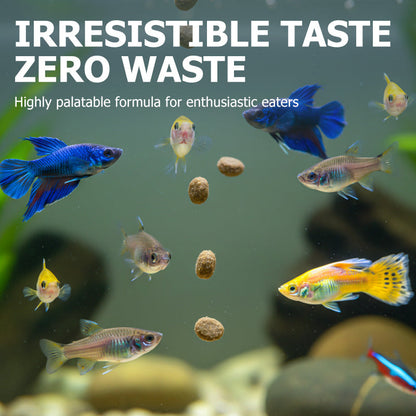 High-Protein Fish Food for Small Fish