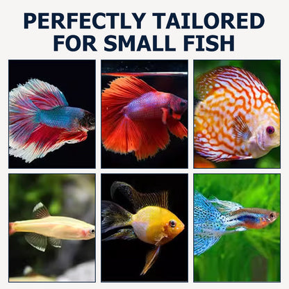 High-Protein Fish Food for Small Fish