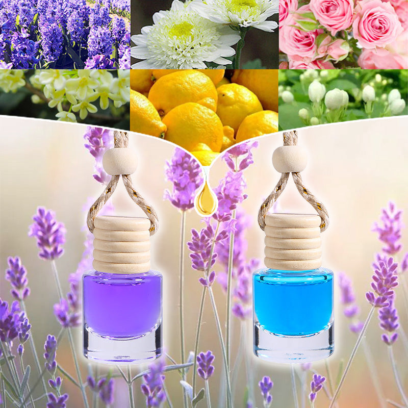 Mini Hanging Essential Oil Fragrance for Car Interiors