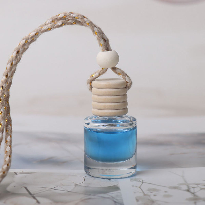 Mini Hanging Essential Oil Fragrance for Car Interiors