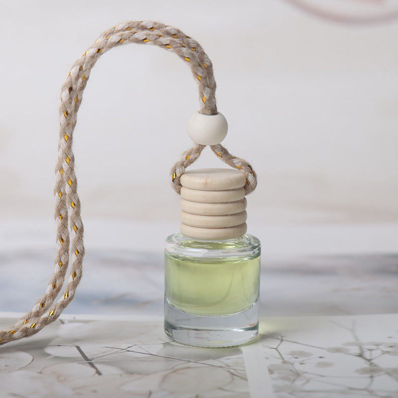 Mini Hanging Essential Oil Fragrance for Car Interiors
