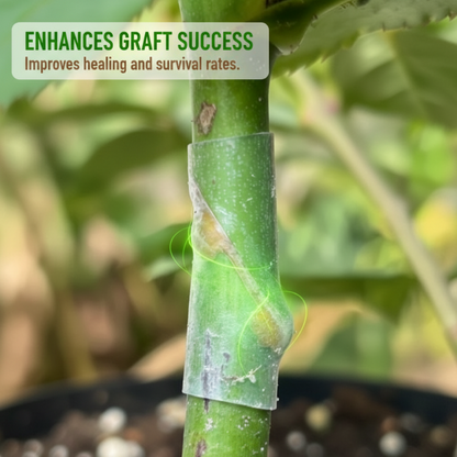 50pcs Silicone Grafting Sleeves for Fruit Trees