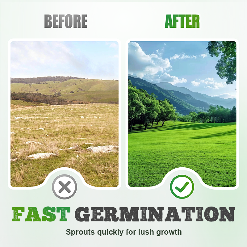 🌱  Cold-resistant, drought-resistant, pet-friendly garden grass seeds - evergreen lawn grass seeds