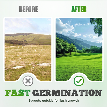 🌱  Cold-resistant, drought-resistant, pet-friendly garden grass seeds - evergreen lawn grass seeds