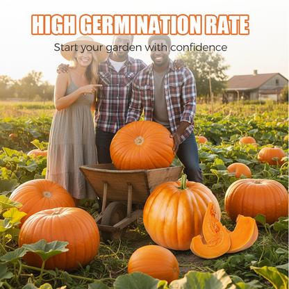 ✨ Giant Pumpkin Seeds for Planting 🌱