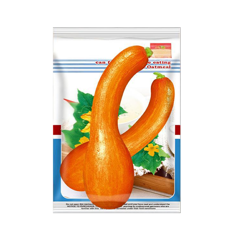 ✨ Giant Pumpkin Seeds for Planting 🌱