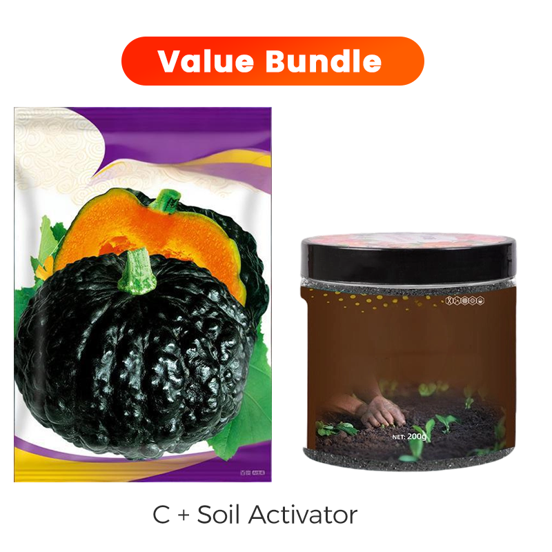 ✨ Giant Pumpkin Seeds for Planting 🌱