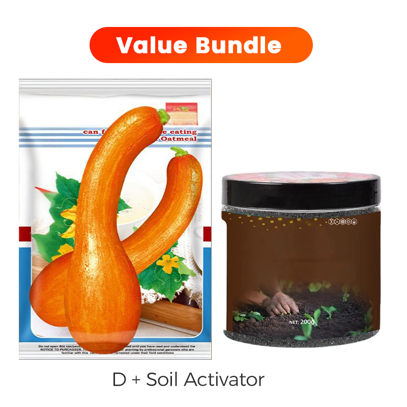 ✨ Giant Pumpkin Seeds for Planting 🌱