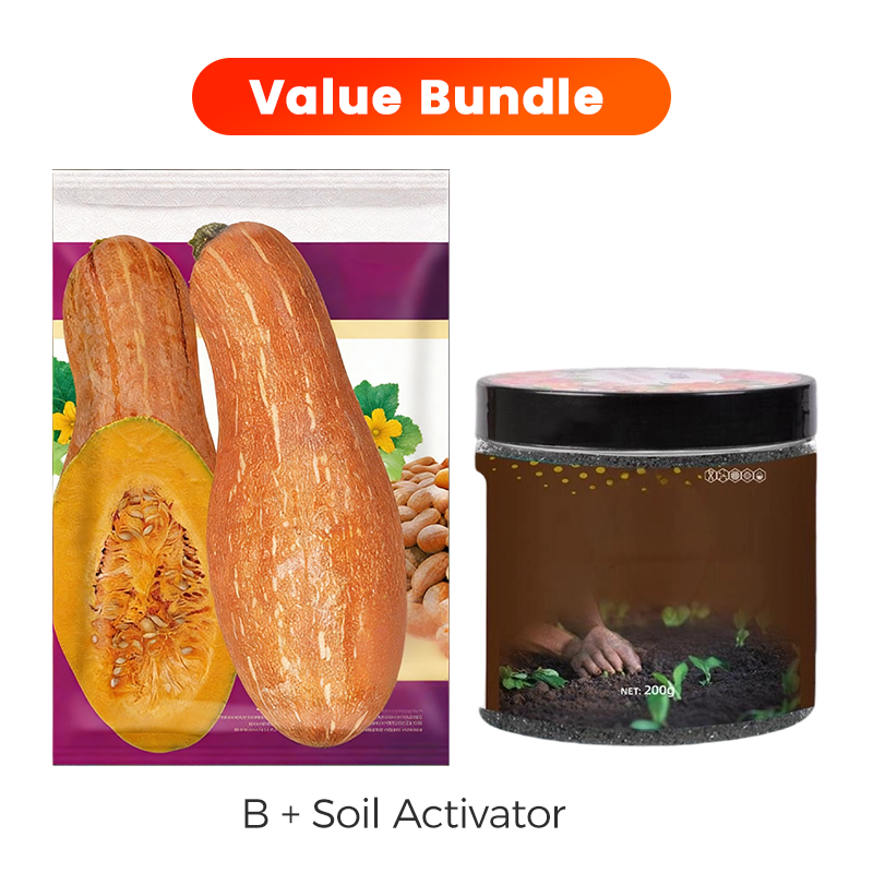 ✨ Giant Pumpkin Seeds for Planting 🌱