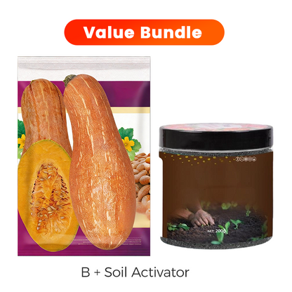 ✨ Giant Pumpkin Seeds for Planting 🌱