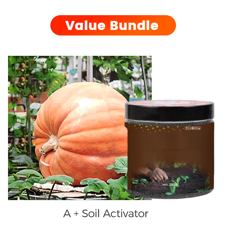 ✨ Giant Pumpkin Seeds for Planting 🌱