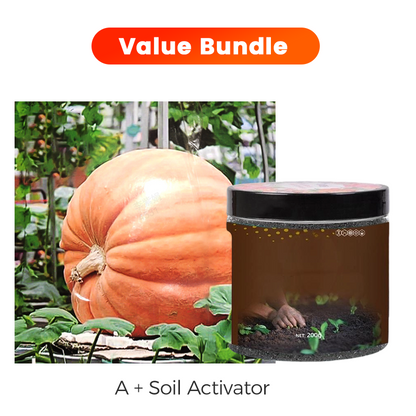 ✨ Giant Pumpkin Seeds for Planting 🌱