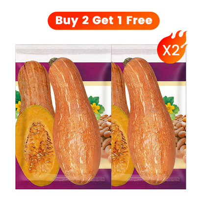 ✨ Giant Pumpkin Seeds for Planting 🌱