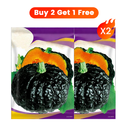 ✨ Giant Pumpkin Seeds for Planting 🌱