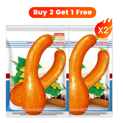 ✨ Giant Pumpkin Seeds for Planting 🌱