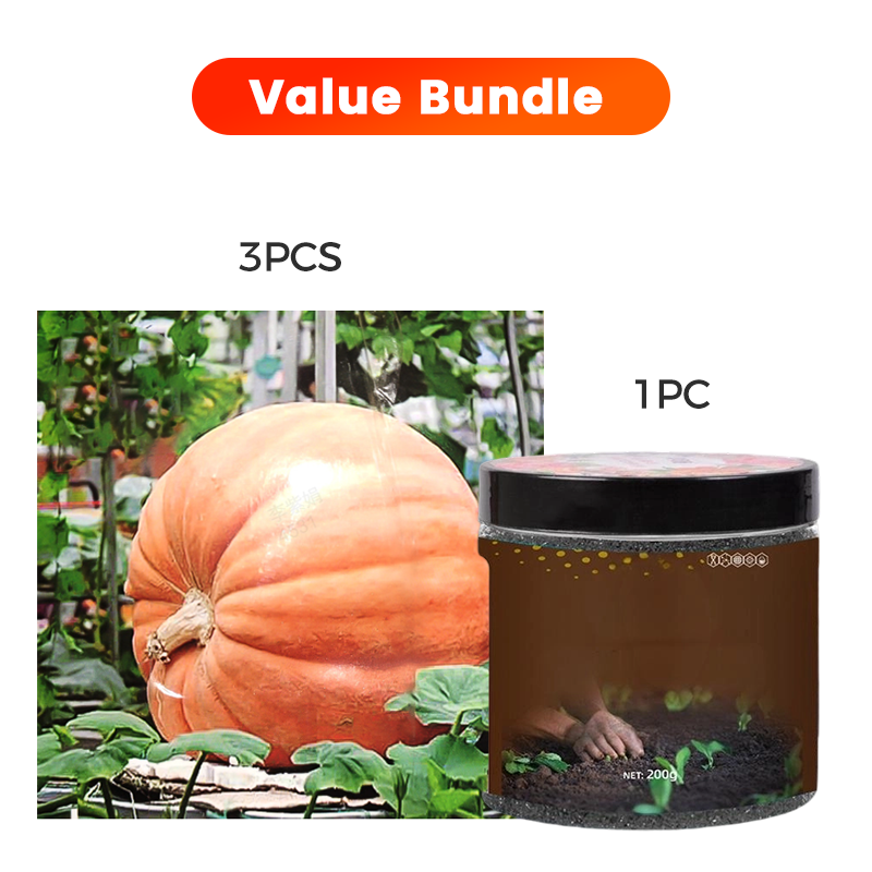 ✨ Giant Pumpkin Seeds for Planting 🌱