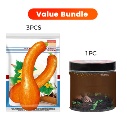 ✨ Giant Pumpkin Seeds for Planting 🌱