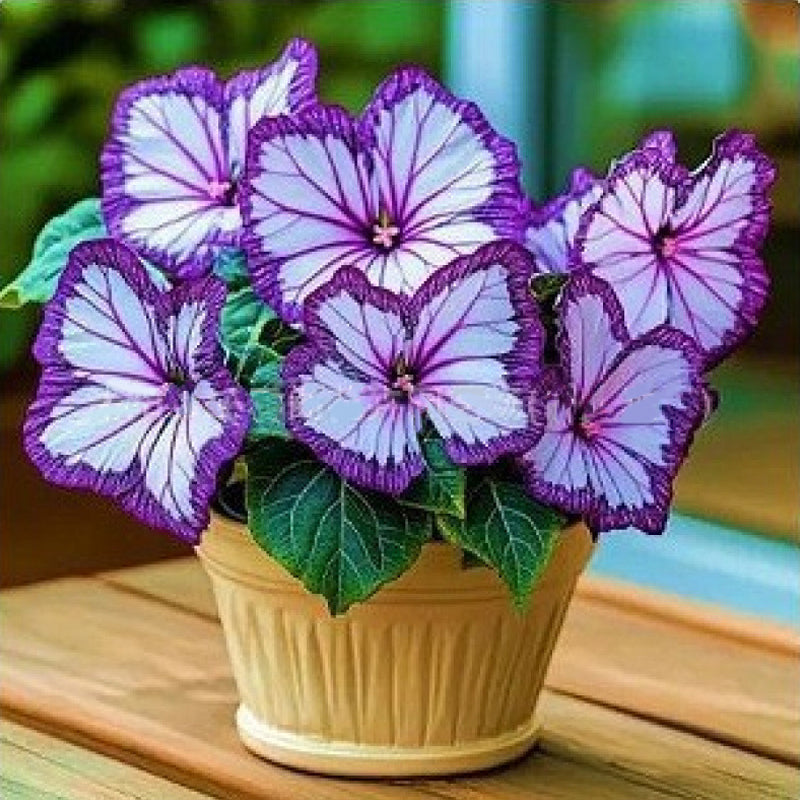 🦋 Whimsical Butterfly Shaped Flower Seeds ✨