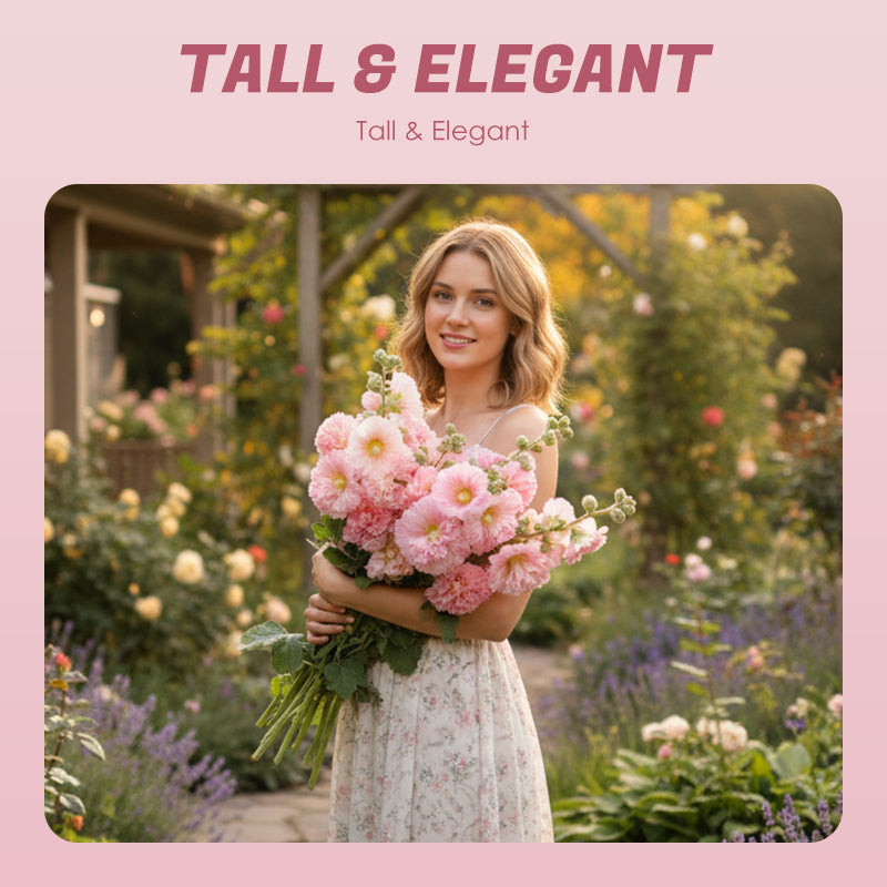 ✨ Sow hollyhock seeds🌱 and harvest a wall full of colorful flowers!🌺