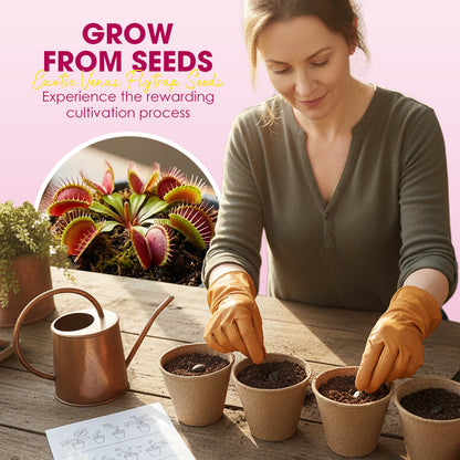 🌱【Amazing Venus Flytrap Seeds】—Grow Your Own Mini Carnivorous Monster!😱🌿